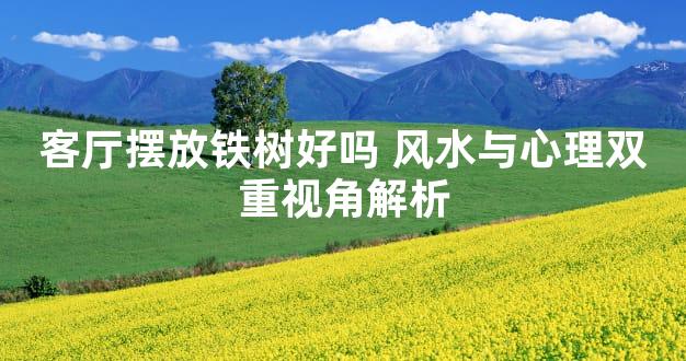 客厅摆放铁树好吗 风水与心理双重视角解析